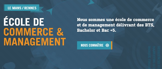 Master Ressources Humaines Rennes